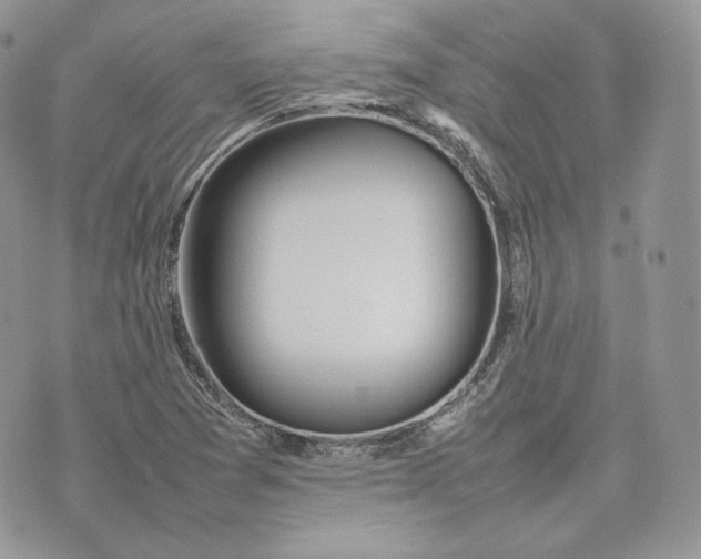 X0000075361361200609291450