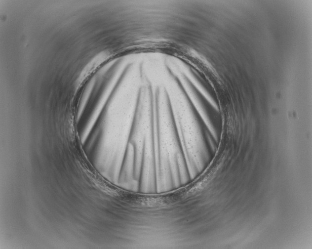 X0000075361362200609291450