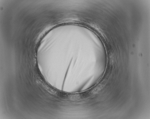 X0000075361363200609291450