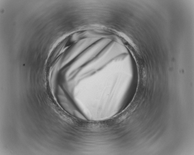 X0000075361364200609291450