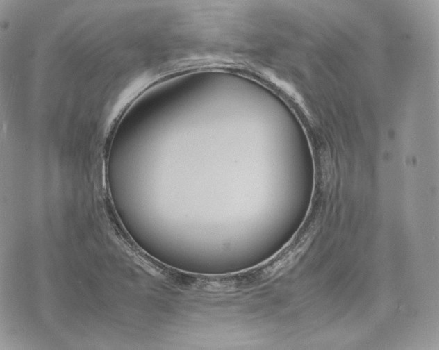 X0000075361365200609291450