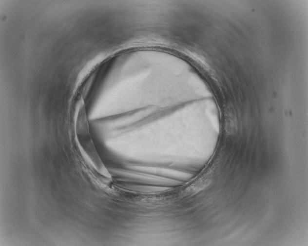 X0000075361366200609291450