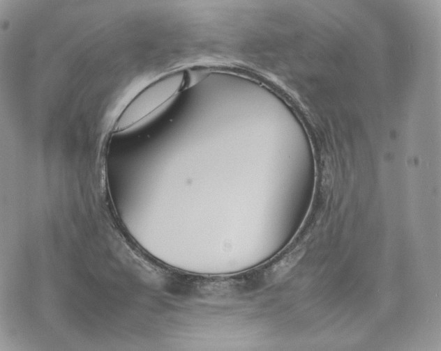 X0000075361367200609291450