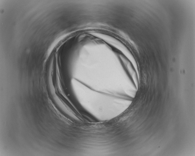 X0000075361368200609291450