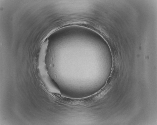 X0000075361369200609291450