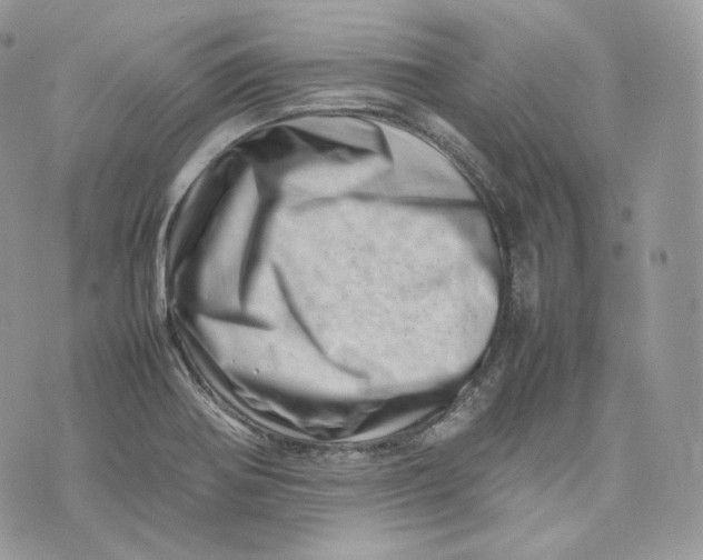 X0000075361370200609291450