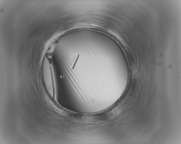 X0000075361371200609291450