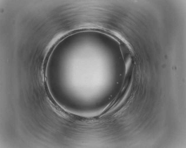 X0000075361372200609291450