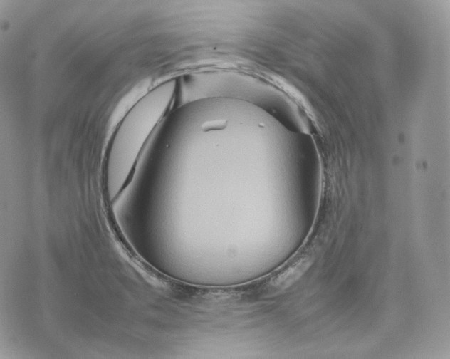 X0000075361373200609291450