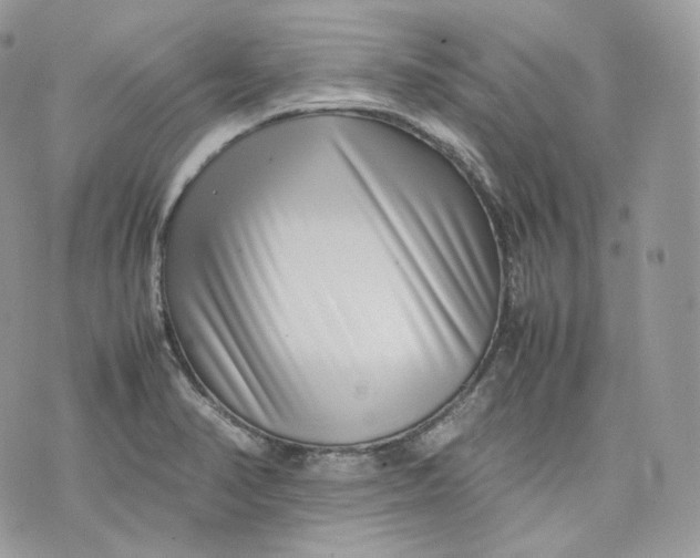 X0000075361374200609291450