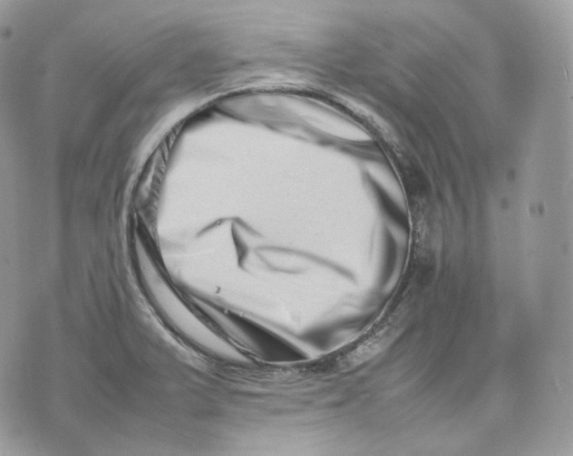 X0000075361375200609291450