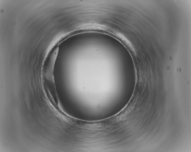 X0000075361376200609291450