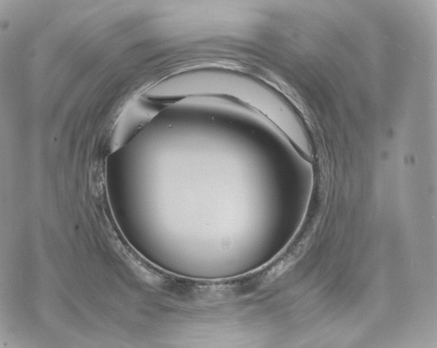 X0000075361377200609291450