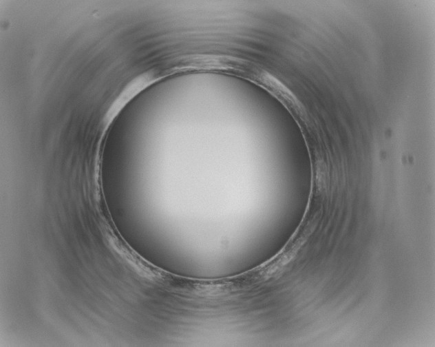 X0000075361378200609291450