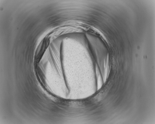 X0000075361379200609291450