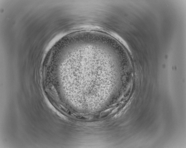 X0000075361381200609291450