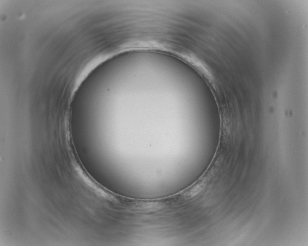 X0000075361382200609291450