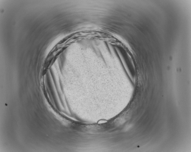 X0000075361383200609291450