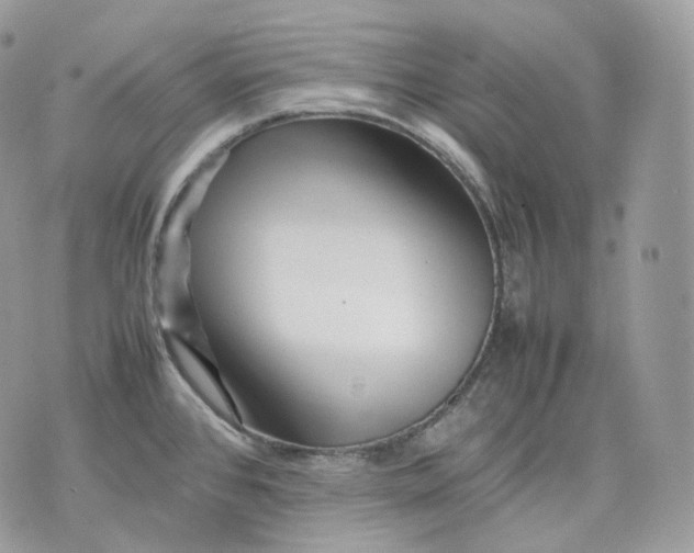 X0000075361384200609291450