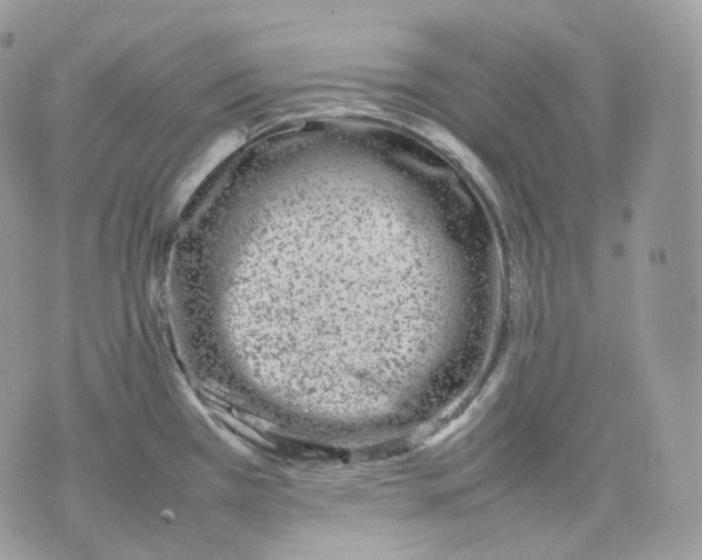 X0000075361385200609291450