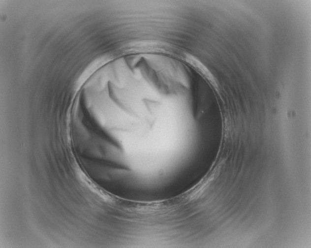 X0000075361386200609291450