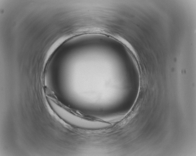 X0000075361389200609291450