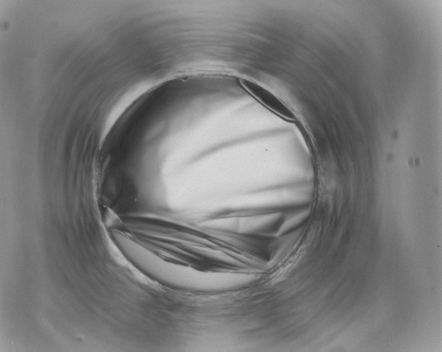 X0000075361390200609291450