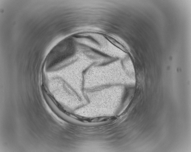 X0000075361391200609291450