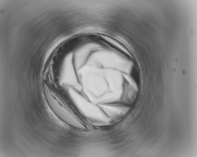 X0000075361392200609291450