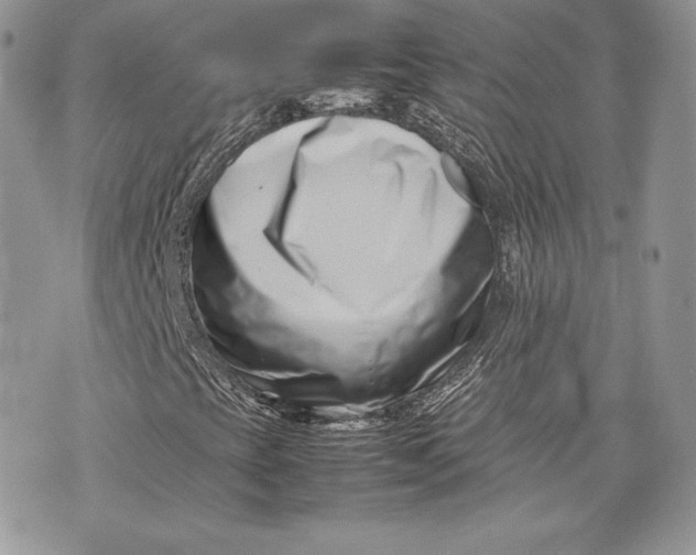 X0000075361393200609291449