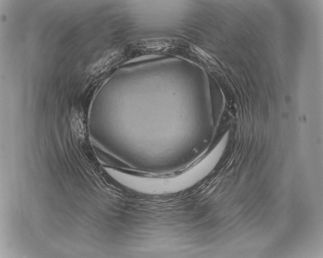 X0000075361394200609291449