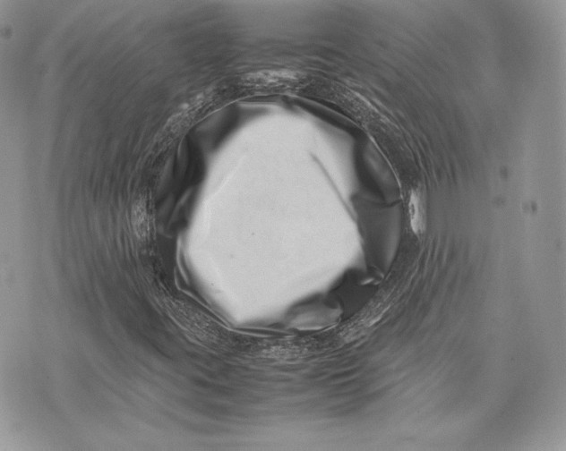 X0000075361395200609291449