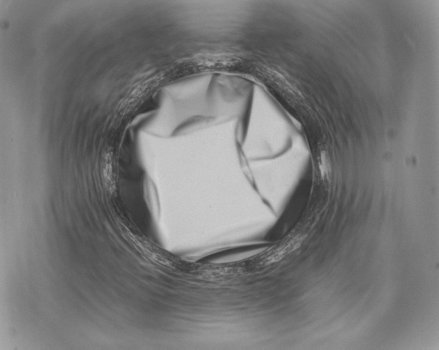 X0000075361396200609291449