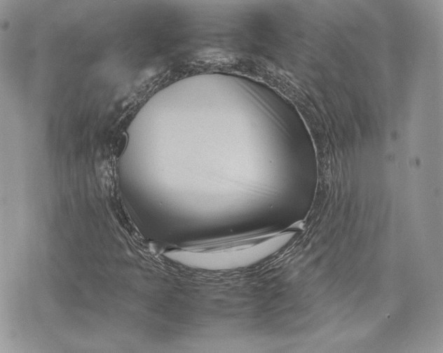 X0000075361397200609291449