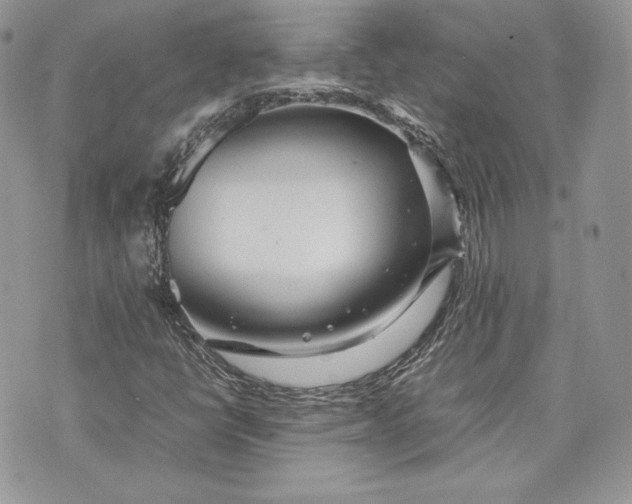 X0000075361398200609291449