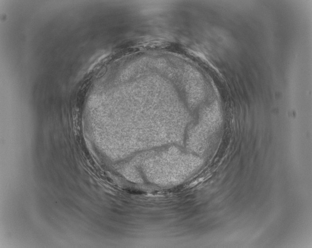 X0000075361399200609291449