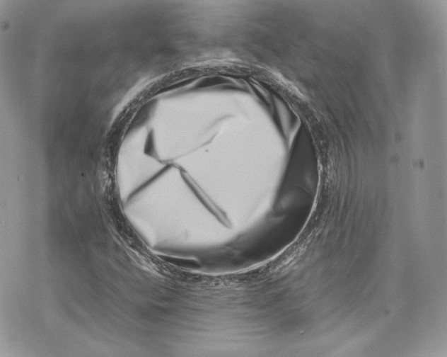 X0000075361400200609291449