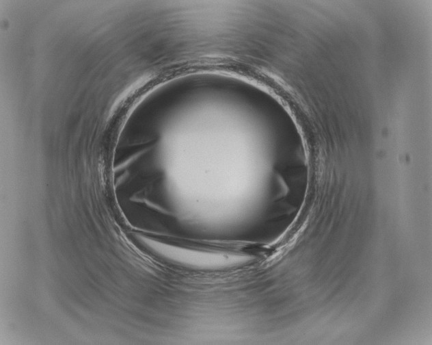 X0000075361402200609291449