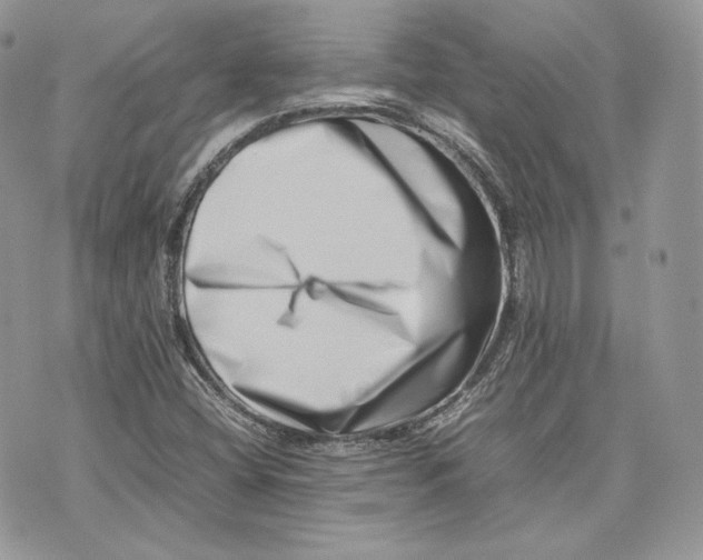 X0000075361404200609291449