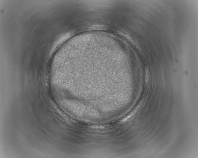 X0000075361405200609291449