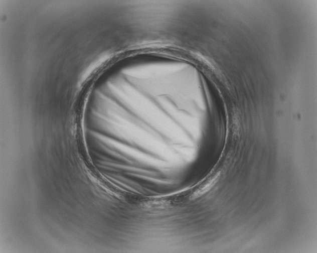 X0000075361406200609291449