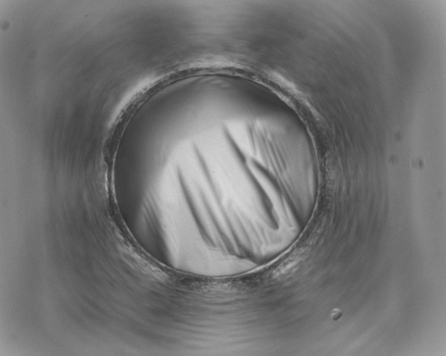 X0000075361408200609291449