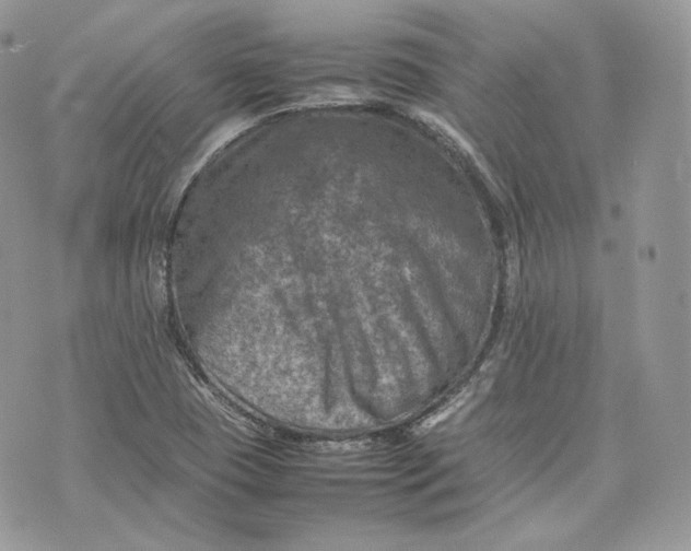 X0000075361409200609291449