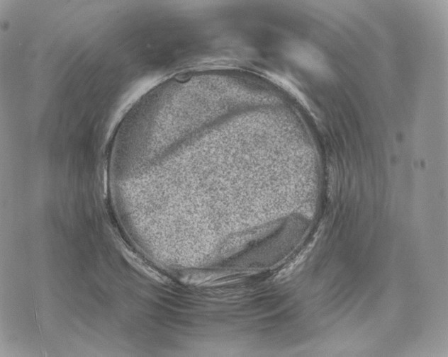 X0000075361413200609291449