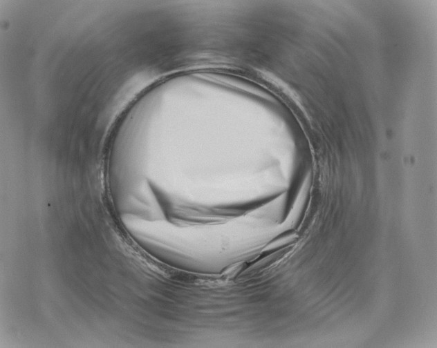 X0000075361415200609291449