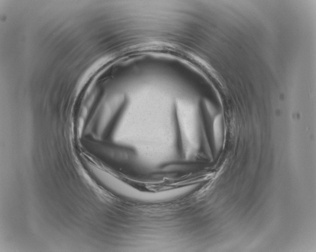 X0000075361418200609291449