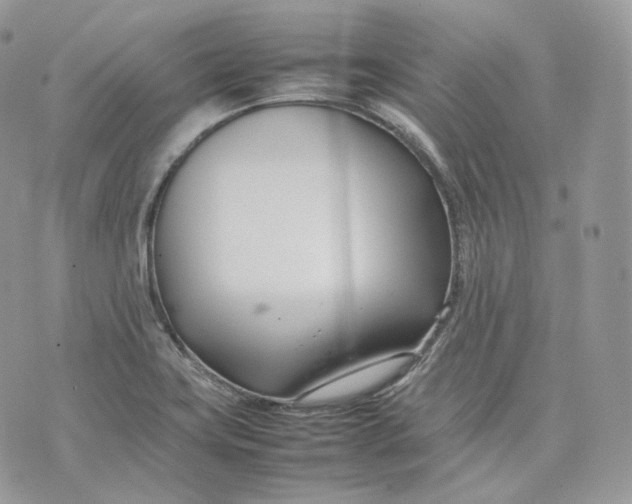 X0000075361419200609291449