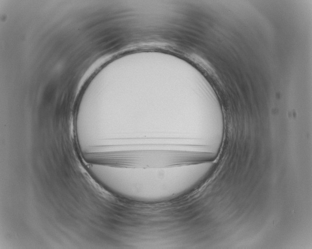 X0000075361420200609291449