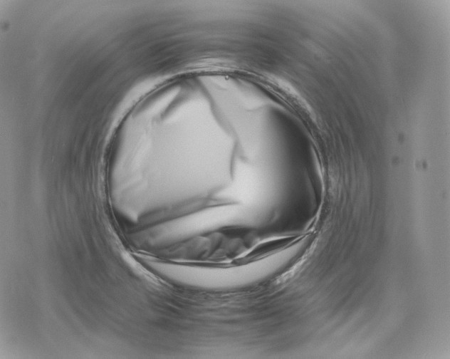 X0000075361421200609291449