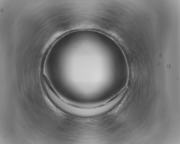 X0000075361422200609291449